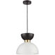 Softshot 1 Light 12 inch Black with Gold Pendant Ceiling Light