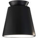 Radiance Collection 1 Light 7.5 inch White Crackle Outdoor Flush-Mount
