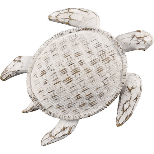 Aly Whitewash with Wood Tone Dimensional Wall Art, Turtle