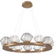Mesa LED Novel Brass Chandelier Ceiling Light, Ring