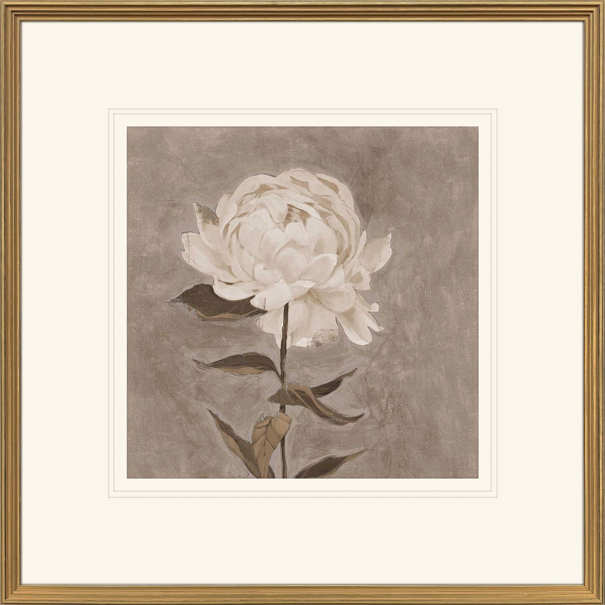 Pretty as a Peony Beige and Brown and Neutral Framed Art