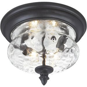Ardmore 2 Light 12 inch Coal Outdoor Flush Mount in Black, Great Outdoors