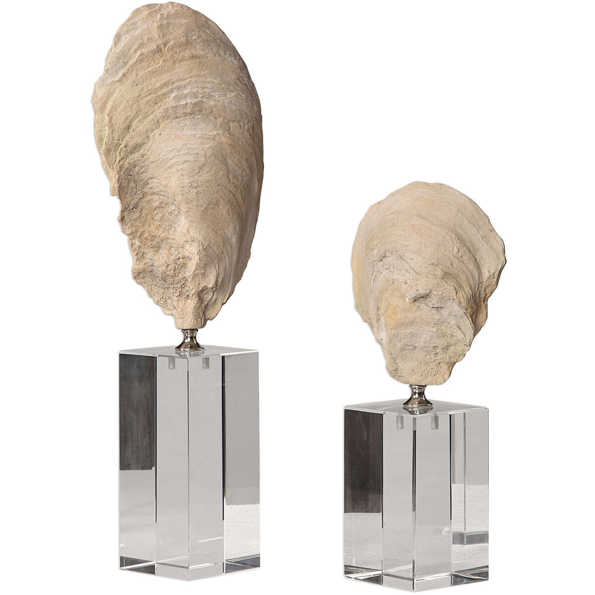 Oyster 15 X 5 inch Shell Sculptures, Set of 2