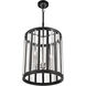 Majestic Splendor 4 Light 19 inch Polished Nickel/Sand Coal Pendant Ceiling Light