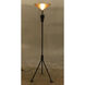 Jetset 71 inch 40.00 watt Matte Black with Antique Brass Floor Lamp Portable Light