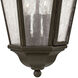 Estate Series Edgewater 3 Light 10 inch Oil Rubbed Bronze Outdoor Hanging Lantern in Non-LED