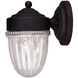 Transitional Outdoor Wall Lantern