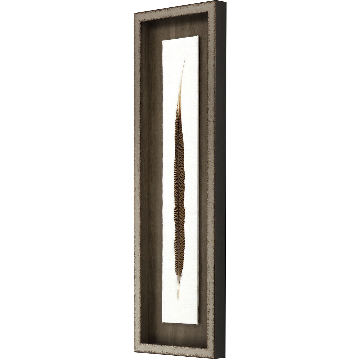 Lady Amhurst Feather Pheasant Feather Brown and Black and Neutral Framed Art