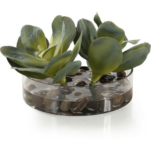 Rocky Decorative Plant