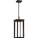 Shore Point LED Oil Rubbed Bronze Outdoor Chain Hung, Great Outdoors