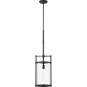C&M by Chapman & Myers Eastham 1 Light 10 inch Textured Black Outdoor Pendant