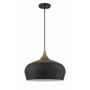 Orian Grande 1 Light 16 inch Black and Brass Pendant Ceiling Light