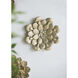 Succulent Antique Gold Wall Plaque, Botanical