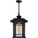 Blackburn 1 Light 9 inch Black Outdoor Hanging Light