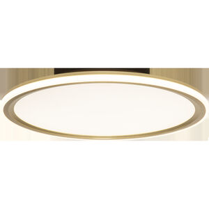 Lucerio LED 17.72 inch Matte Brushed Imitation Gold Flush Mount Ceiling Light
