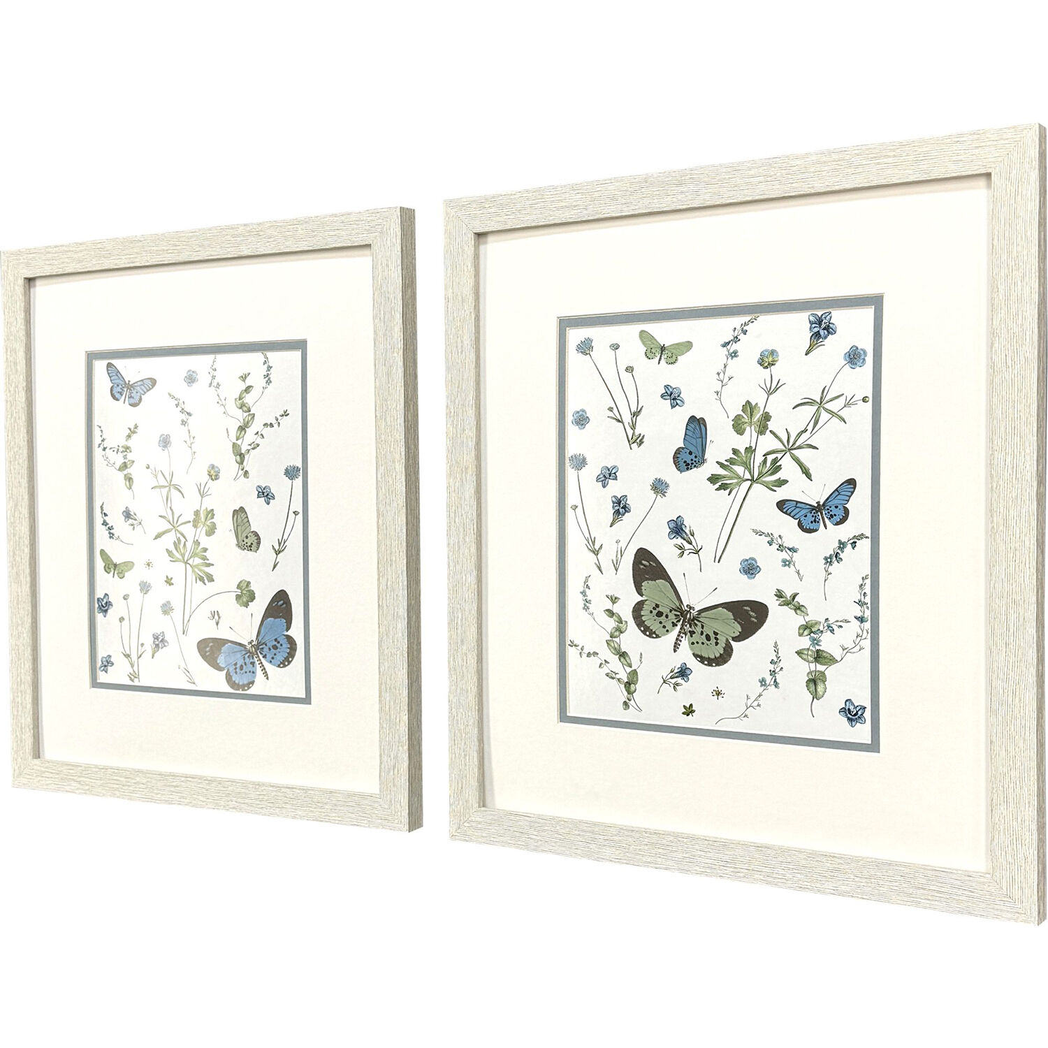 Botanical Page Blue and Green Framed Art, Propac