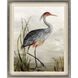 Animals Collection Blue Framed Art