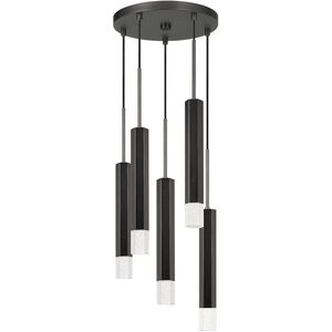 Troy 5 Light 12.50 inch Pendant