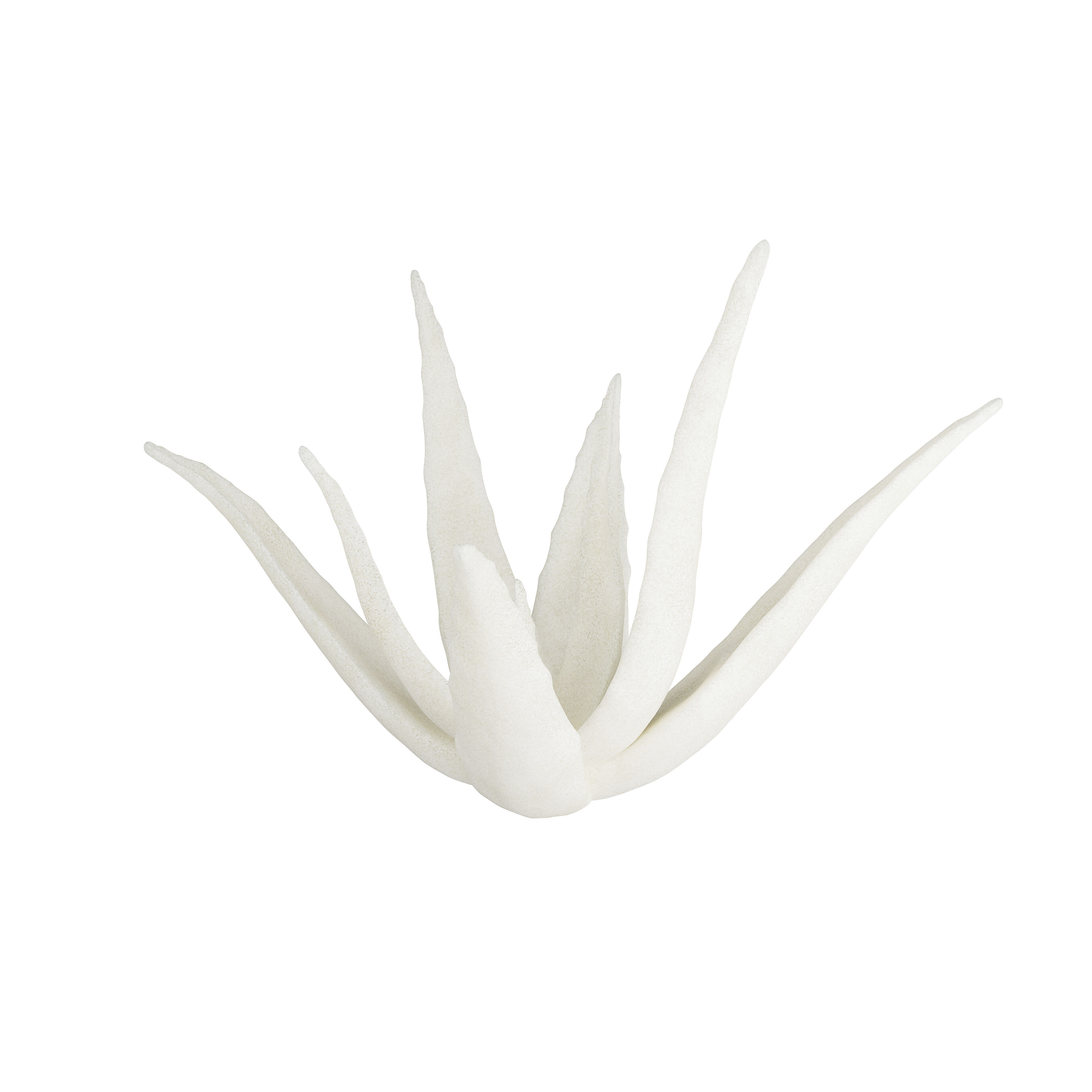 Zaloe 8.5 X 6 inch Sculpture