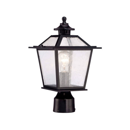 Salem 1 Light 15 inch Matte Black Exterior Post Mount Light