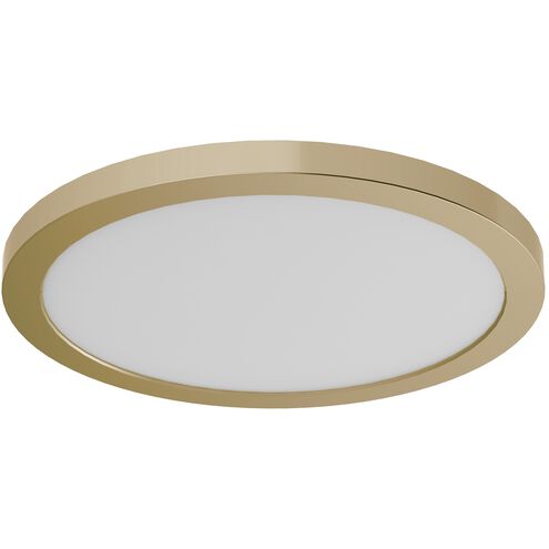 Avro 1 Light Chrome Flush Mount Ceiling Light