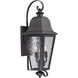 Forged Brookridge 3 Light 30 inch Charcoal Outdoor Wall Sconce