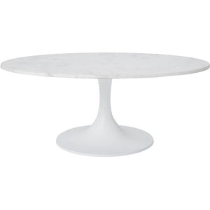 Joselyn 40 X 15 inch White and White Coffee Table