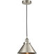 Franklin Restoration Briarcliff 1 Light 10.00 inch Mini Pendant