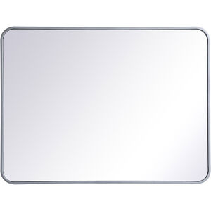 Evermore 36 X 27 inch Silver Mirror