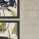 Animals Collection Multi Framed Art