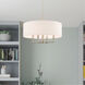 Meridian 4 Light 18 inch Brushed Nickel Pendant Chandelier Ceiling Light 