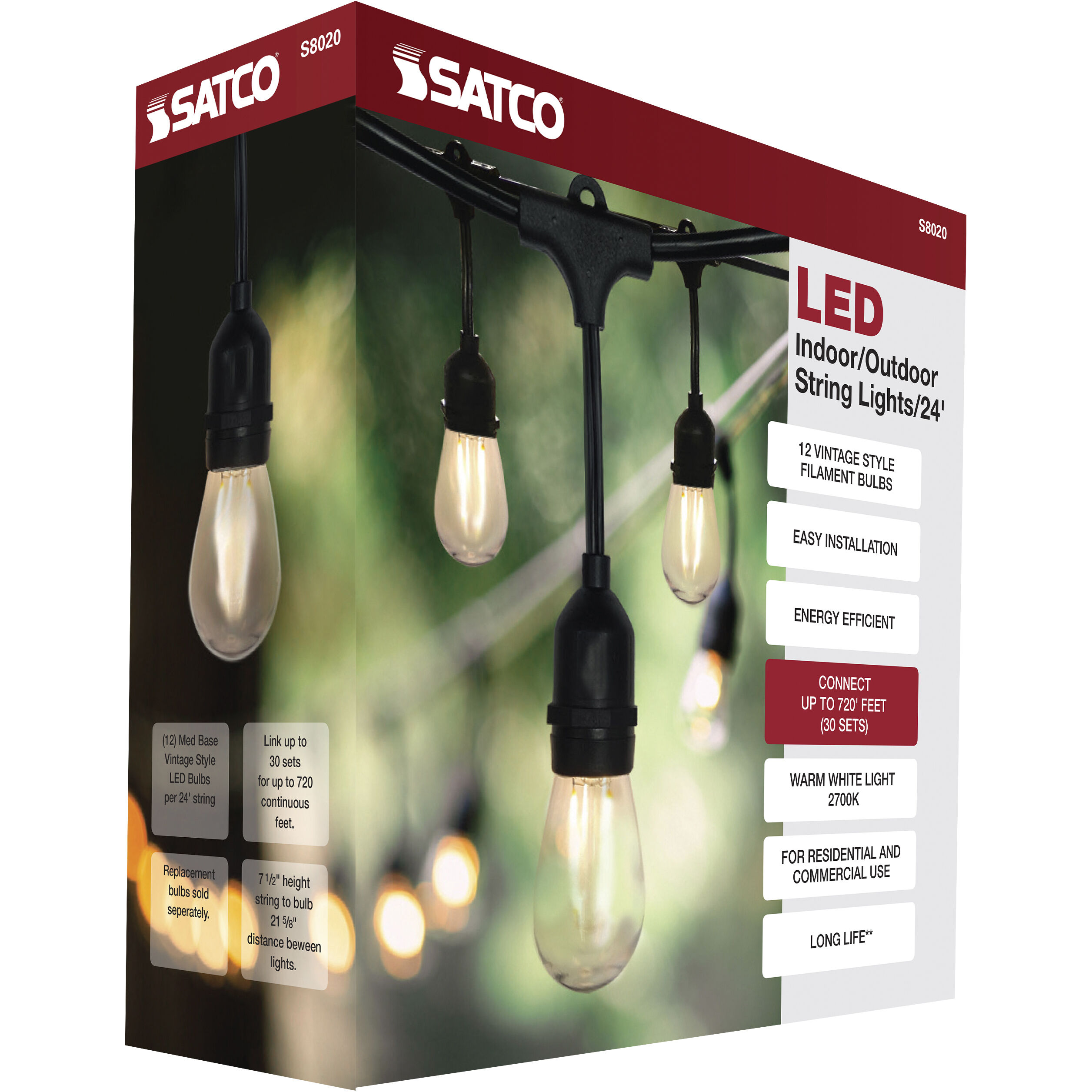 Edgewood 12 Light LED 24 foot Black LED String Light
