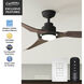 Eula 52 inch Matte Black with Chestnut Blades Outdoor Ceiling Fan