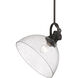 Hines 1 Light 14 inch Rubbed Bronze Pendant Ceiling Light in Seeded Glass, Large