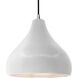 Radiance LED 13.5 inch Bisque and Brushed Nickel Pendant Ceiling Light