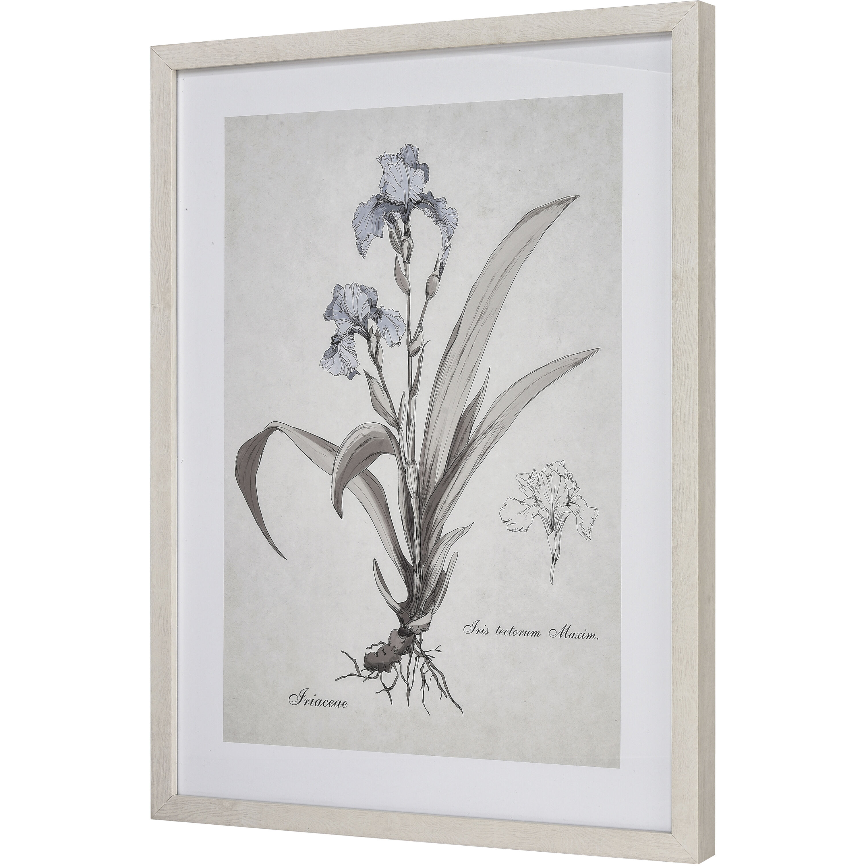 Stems I Cream Framed Wall Art