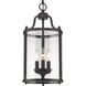 Payton 3 Light 9 inch Matte Black Pendant Ceiling Light, Caged