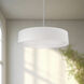 Dalton LED 20 inch White Pendant Ceiling Light