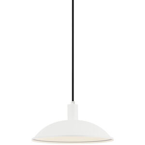 Farmley 1 Light 12.00 inch Outdoor Pendant/Chandelier