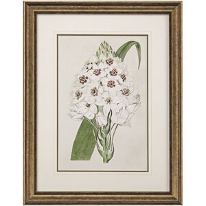Flore Albo Green and Neutral and Brown Framed Art