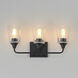 Hudson 3 Light 20.5 inch Black Bath Vanity Wall Light in Clear