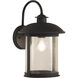 O'Fallon 1 Light 15 inch Dark Bronze Gilded Outdoor Wall Mount