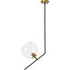 Ryland 1 Light 16 inch Black and Brass Pendant Ceiling Light