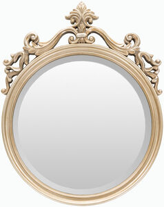 Osmond 25 X 19.5 inch Champagne Mirror, Arch/Crowned Top