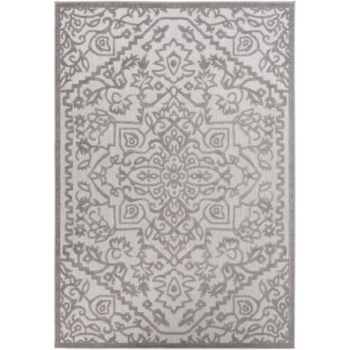Big Sur 36 X 24 inch Taupe Outdoor Rug