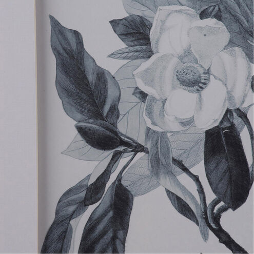 Botanical Black / White Wall Art, Set of 4