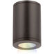 Tube Arch LED 4.88 inch Bronze Outdoor Flush in Flood, 90, Color Changing