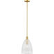 Transitional 1 Light 10 inch Natural Brass Pendant Ceiling Light