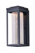 Salon LED LED 15 inch Black Outdoor Wall Sconce