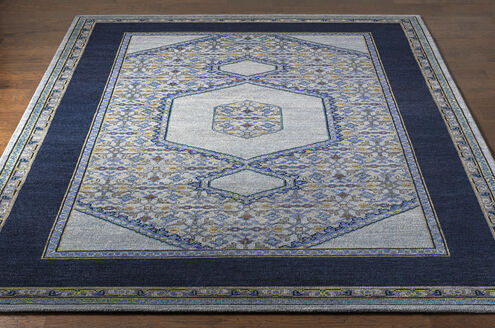 Haven 132 X 96 inch Blue Rug in 8 x 11, Rectangle
